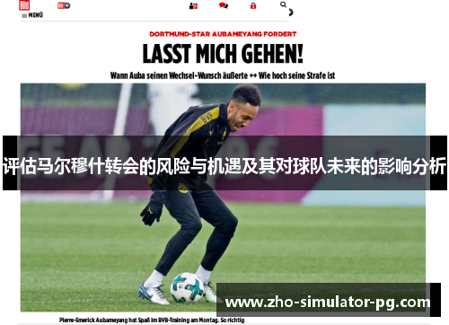 评估马尔穆什转会的风险与机遇及其对球队未来的影响分析