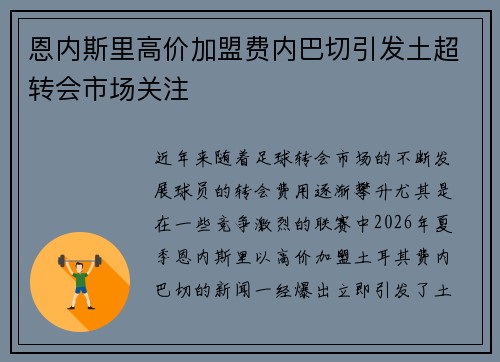 恩内斯里高价加盟费内巴切引发土超转会市场关注