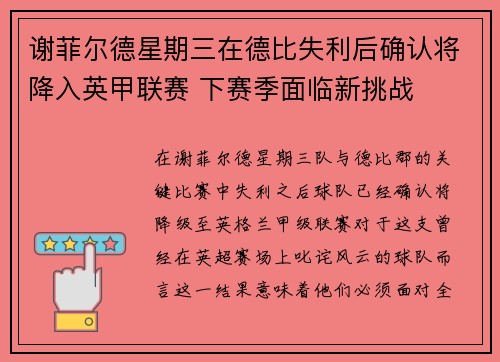 谢菲尔德星期三在德比失利后确认将降入英甲联赛 下赛季面临新挑战
