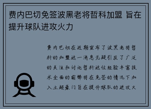费内巴切免签波黑老将哲科加盟 旨在提升球队进攻火力